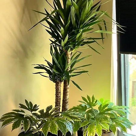 Appartamento Morgado Da Granja *